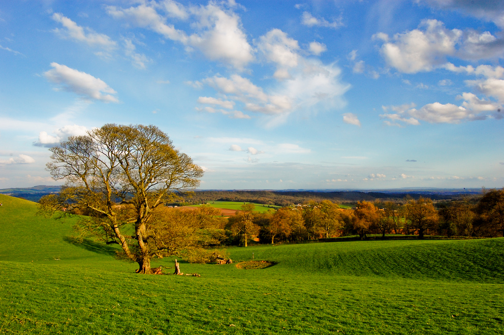 the end of windows xp