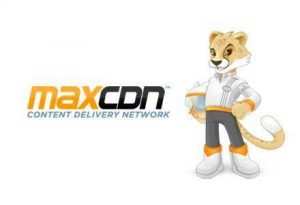 MaxCDN logo with Max 440x300